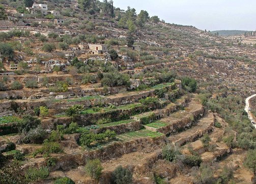 View of the landscape of agricultural terraces near the village of Battir in the Bethlehem governorate of the West Bank, 2012