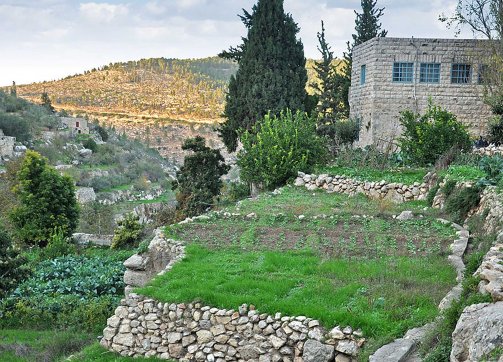 In the village of Battir in the Bethlehem governorate of the West Bank, dry stone walls have been maintained without mortar for generations, as shown here in 2012.
