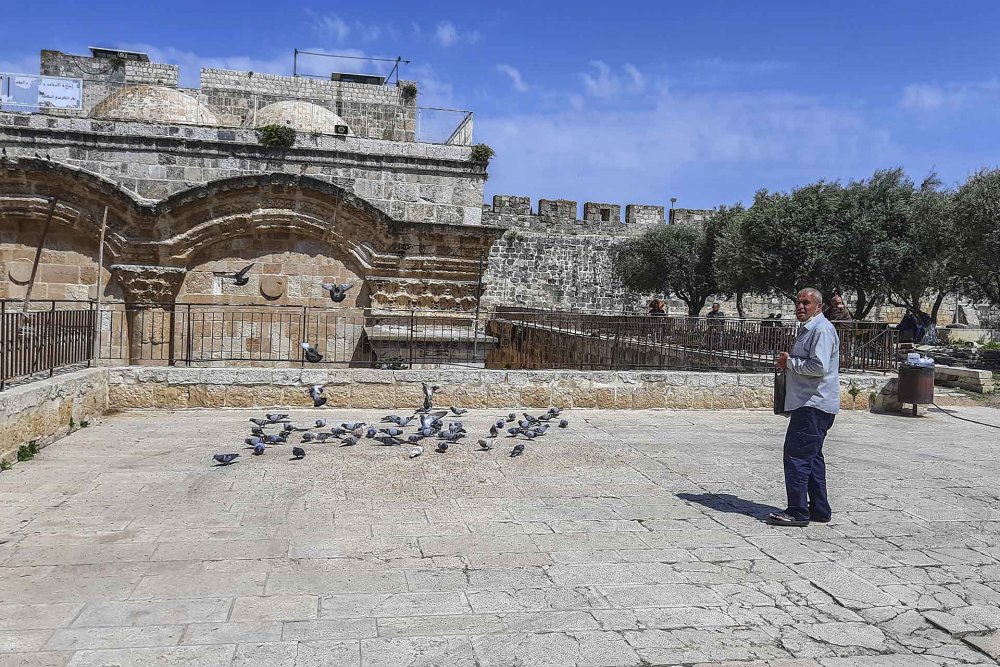 A man with pigeons at al-Aqsa Mosque in Jerusalem’s Old City