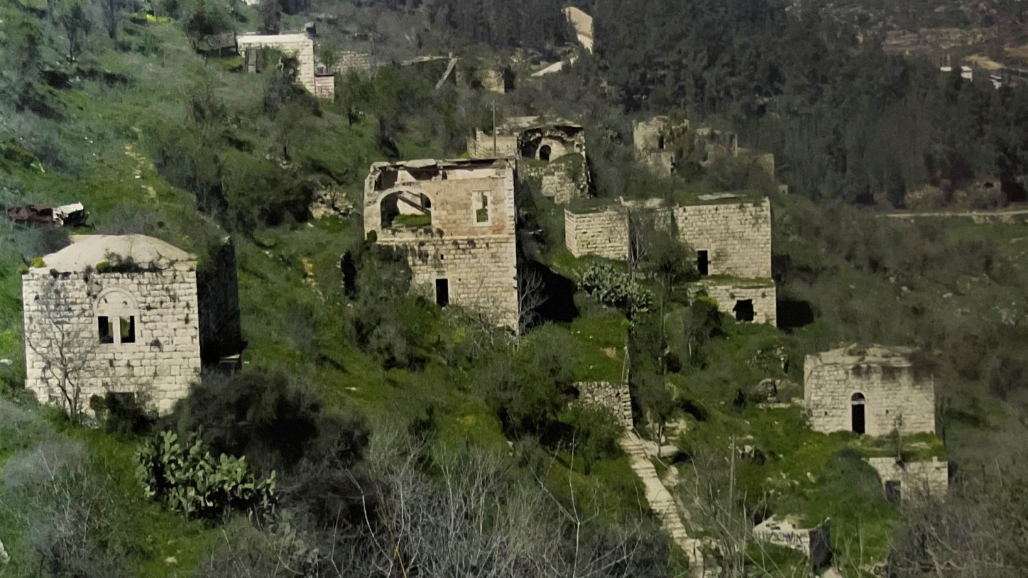 The depopulated Palestinian village of Lifta, its cultural heritage gradually succumbing to nature