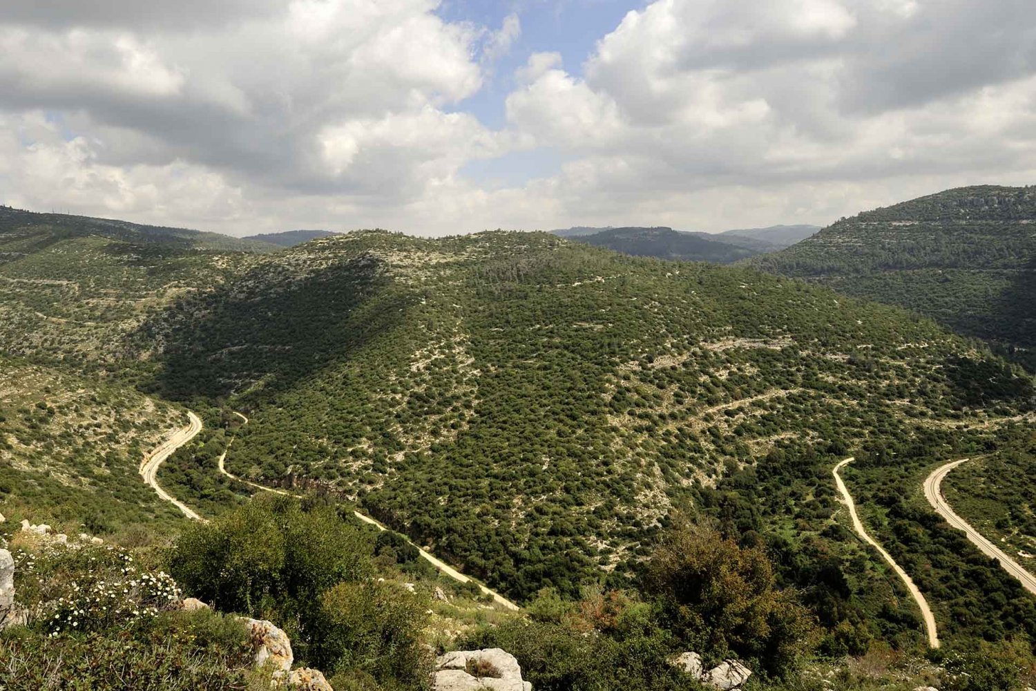 Jerusalem hills landscape