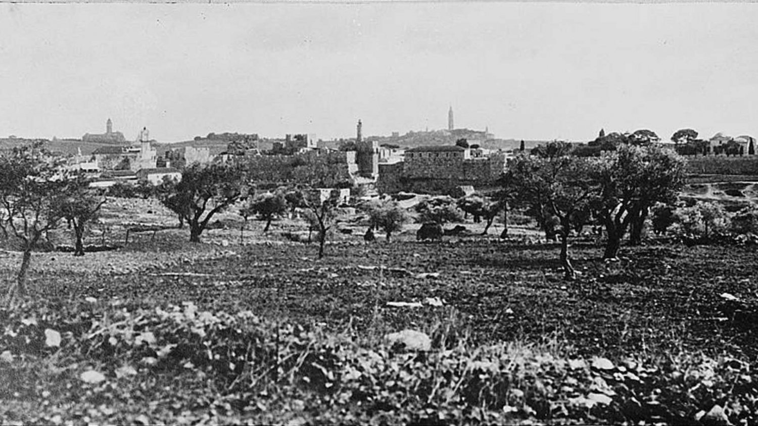 The plot of land known as Nukofrieh and owned by the Greek Orthodox Church, on which the Jerusalem YMCA was built