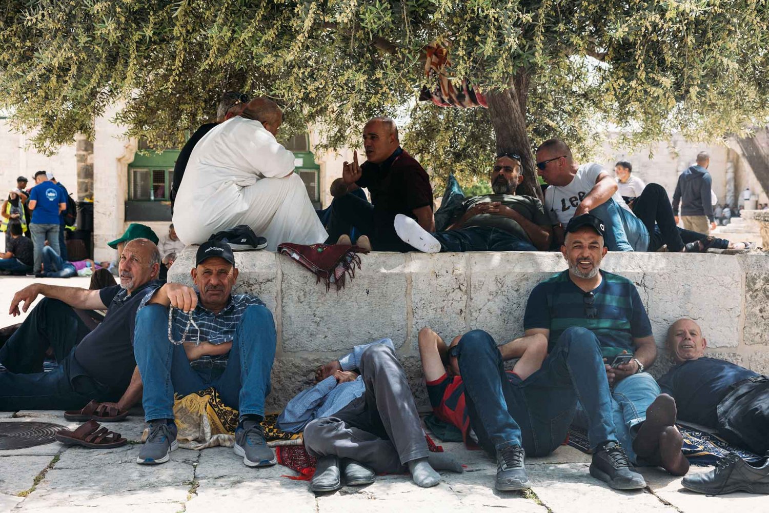 Palestinian men find community under the shade of a tree in the Haram al-Sharif during Ramadan in April 2022.
